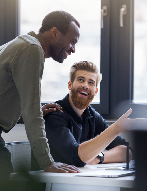 contabilidade online